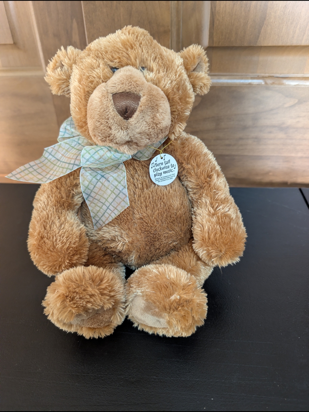 Gund Chaucy Motion Musical Bear